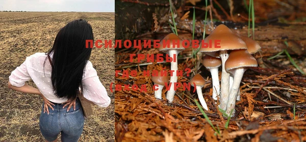 дистиллят марихуана Горнозаводск