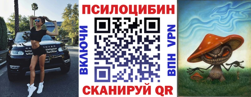 Псилоцибиновые грибы Psilocybe  Купить  Пушкино 